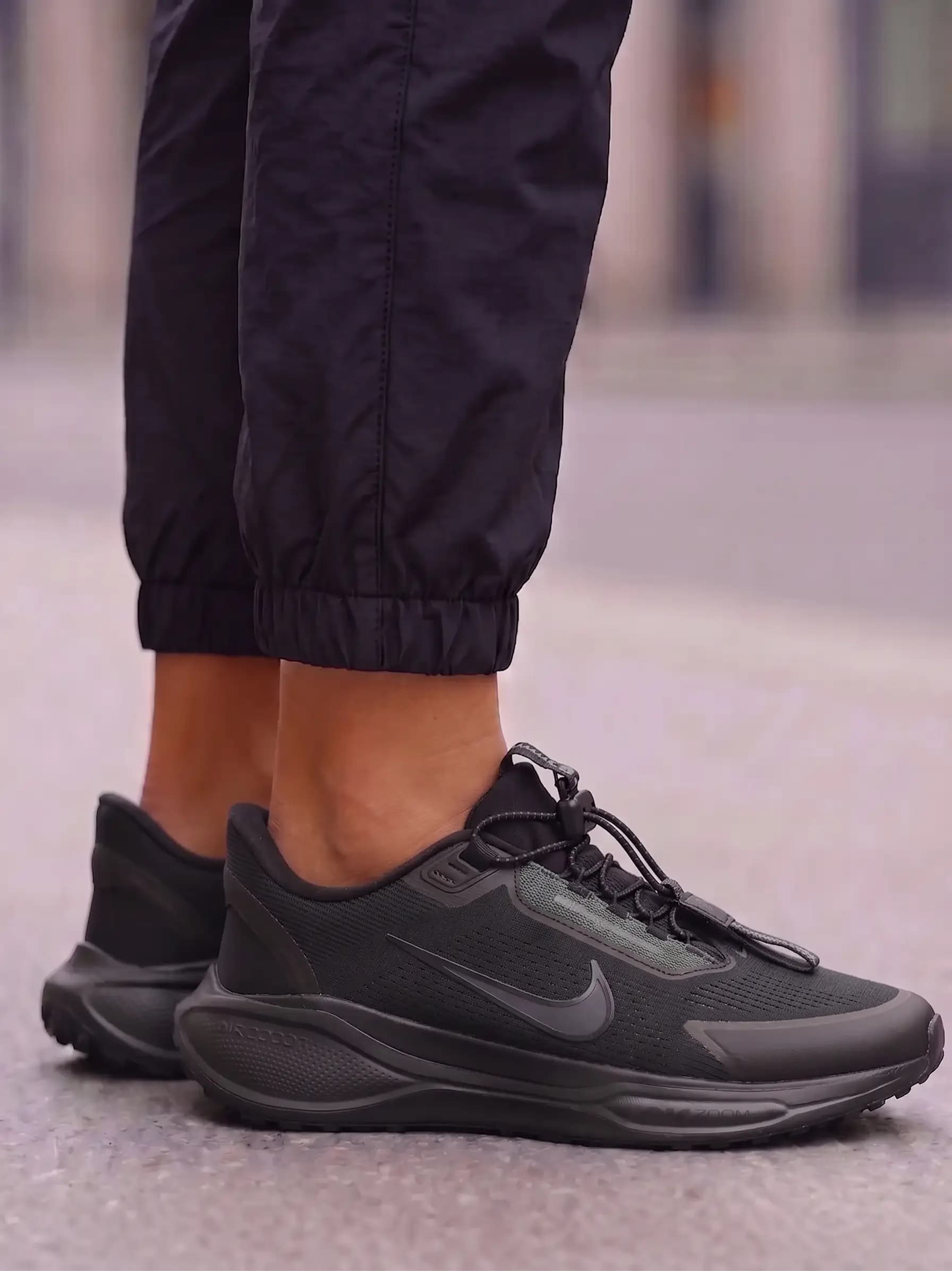 Nike Pegasus Easyon