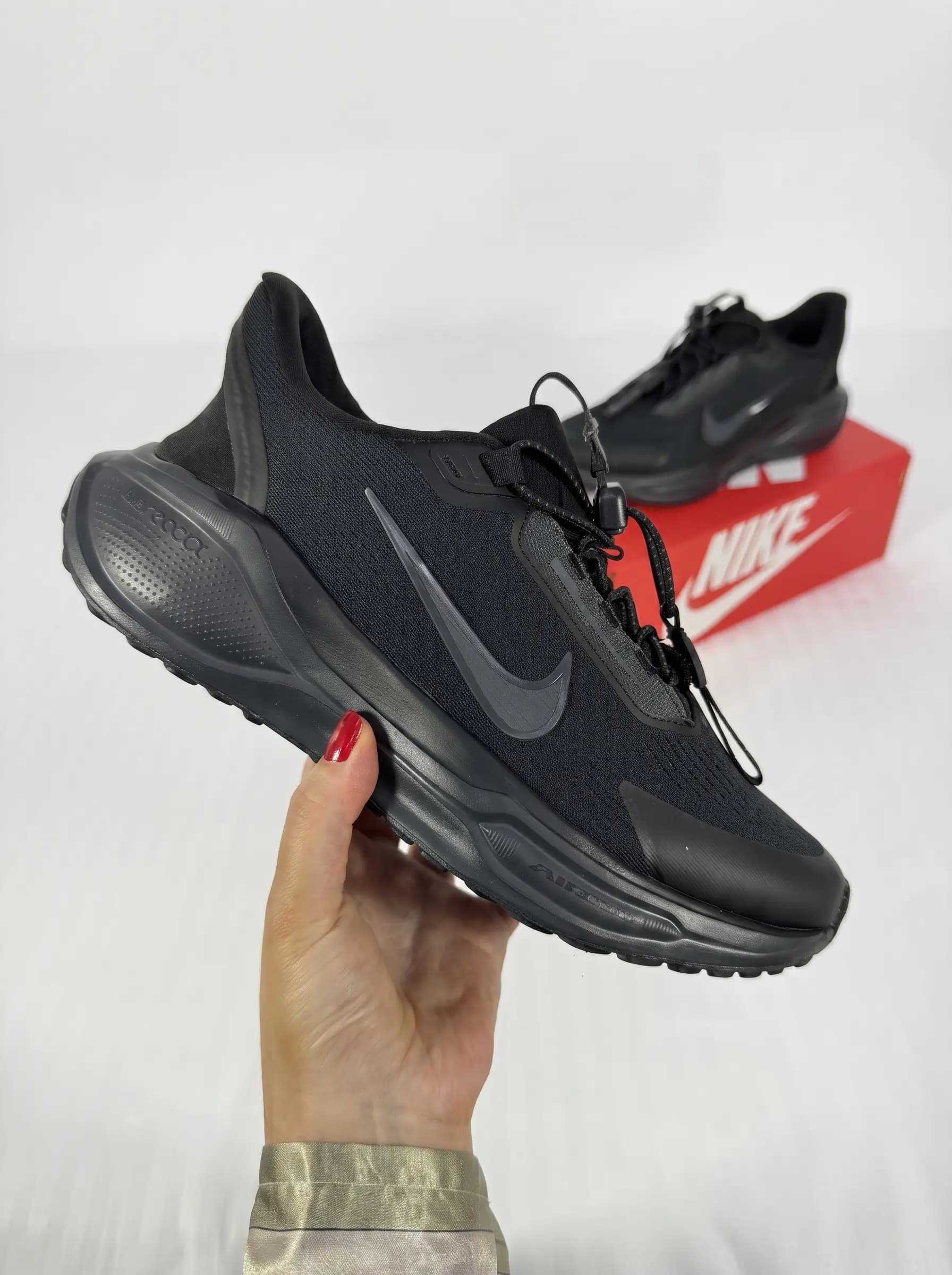 Nike Pegasus Easyon